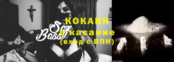 мяу мяу мука Белокуриха