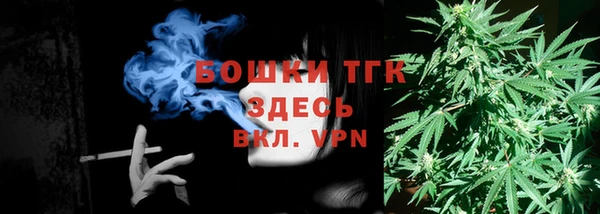 мяу мяу мука Белокуриха