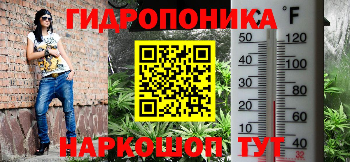 Каннабис Bruce Banner  МАРИХУАНА семена  Горячий Ключ 